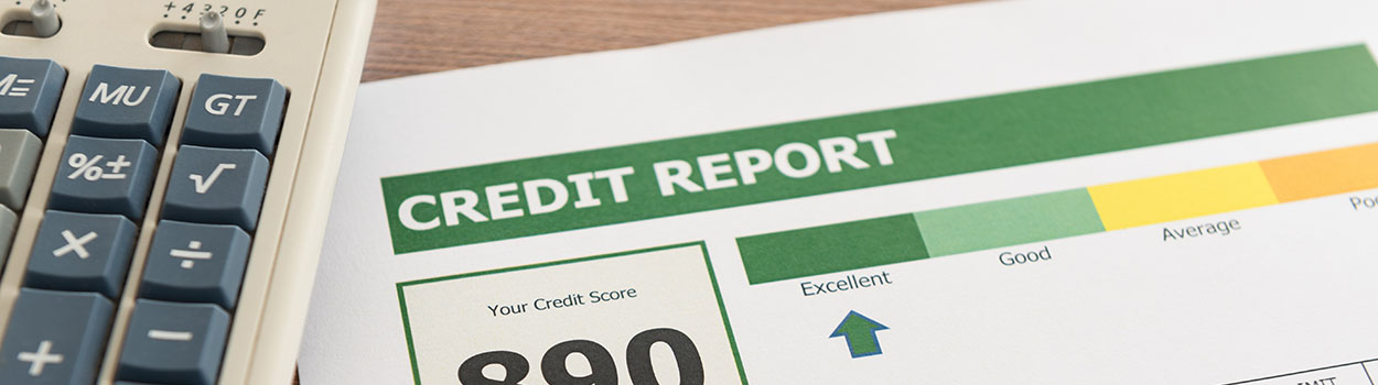 creditreport1250x350